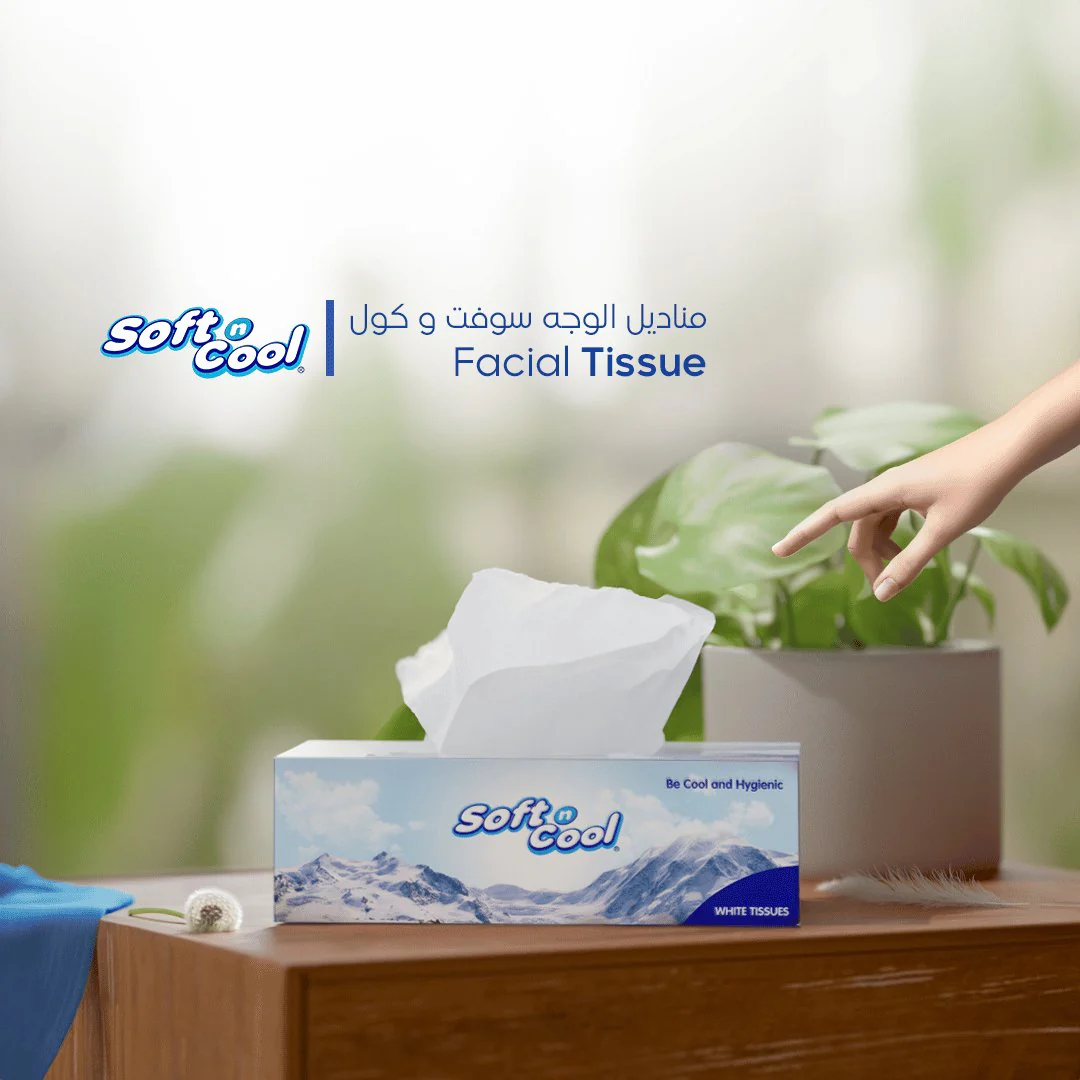30 boxes Soft n Cool Facial Tissue x 2 ply - Image 10