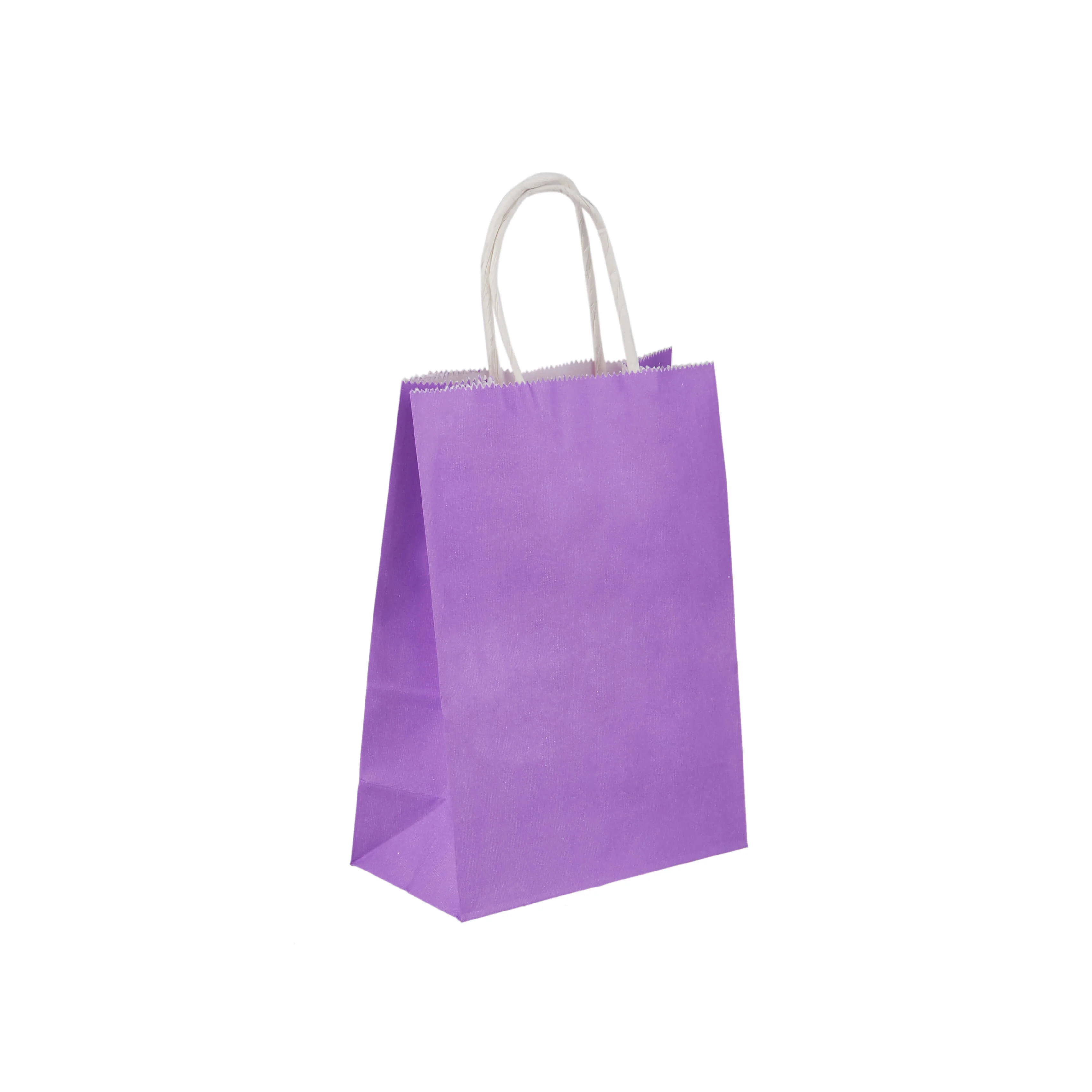 Gift Paper Bag Twisted Handle - Image 25