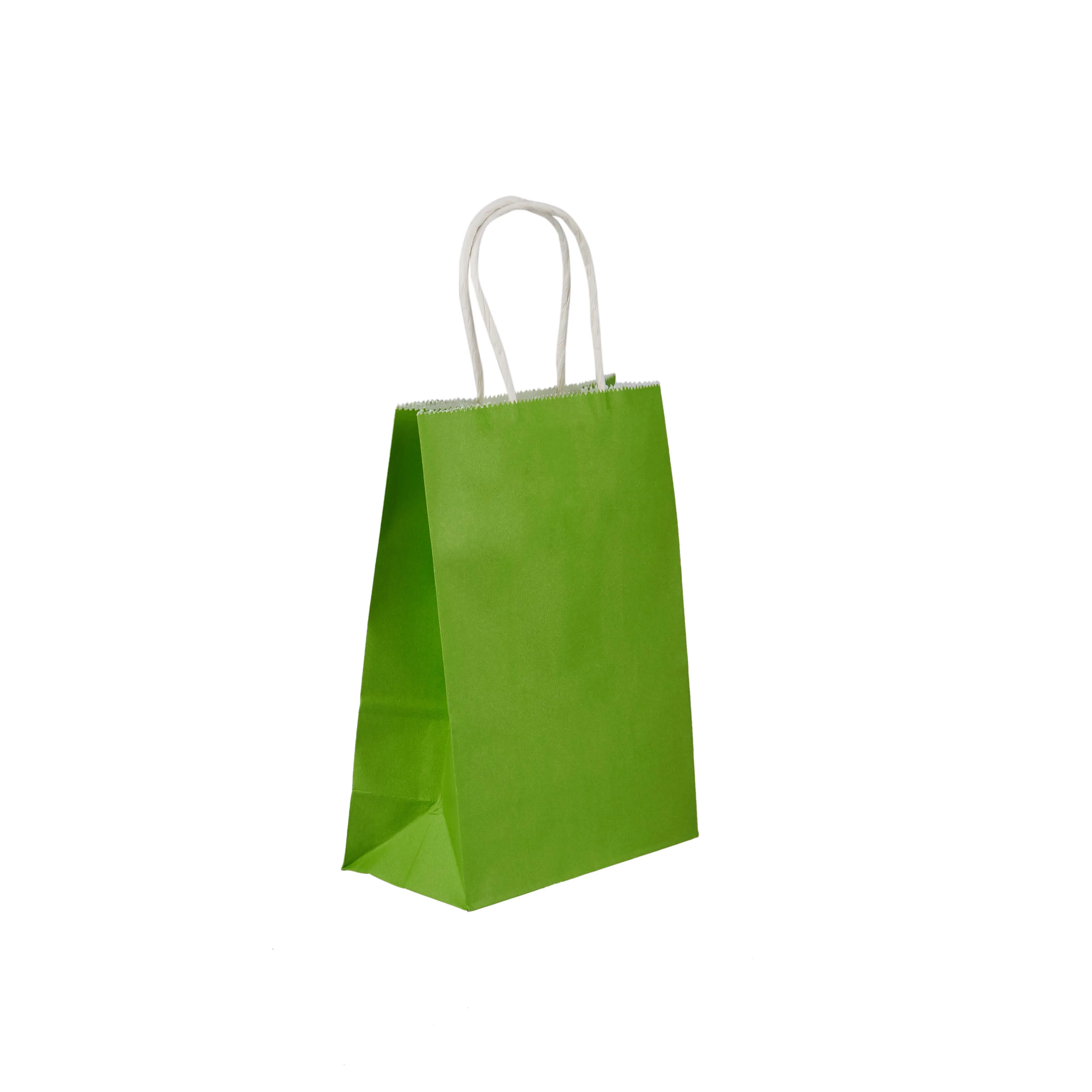 Gift Paper Bag Twisted Handle - Image 56