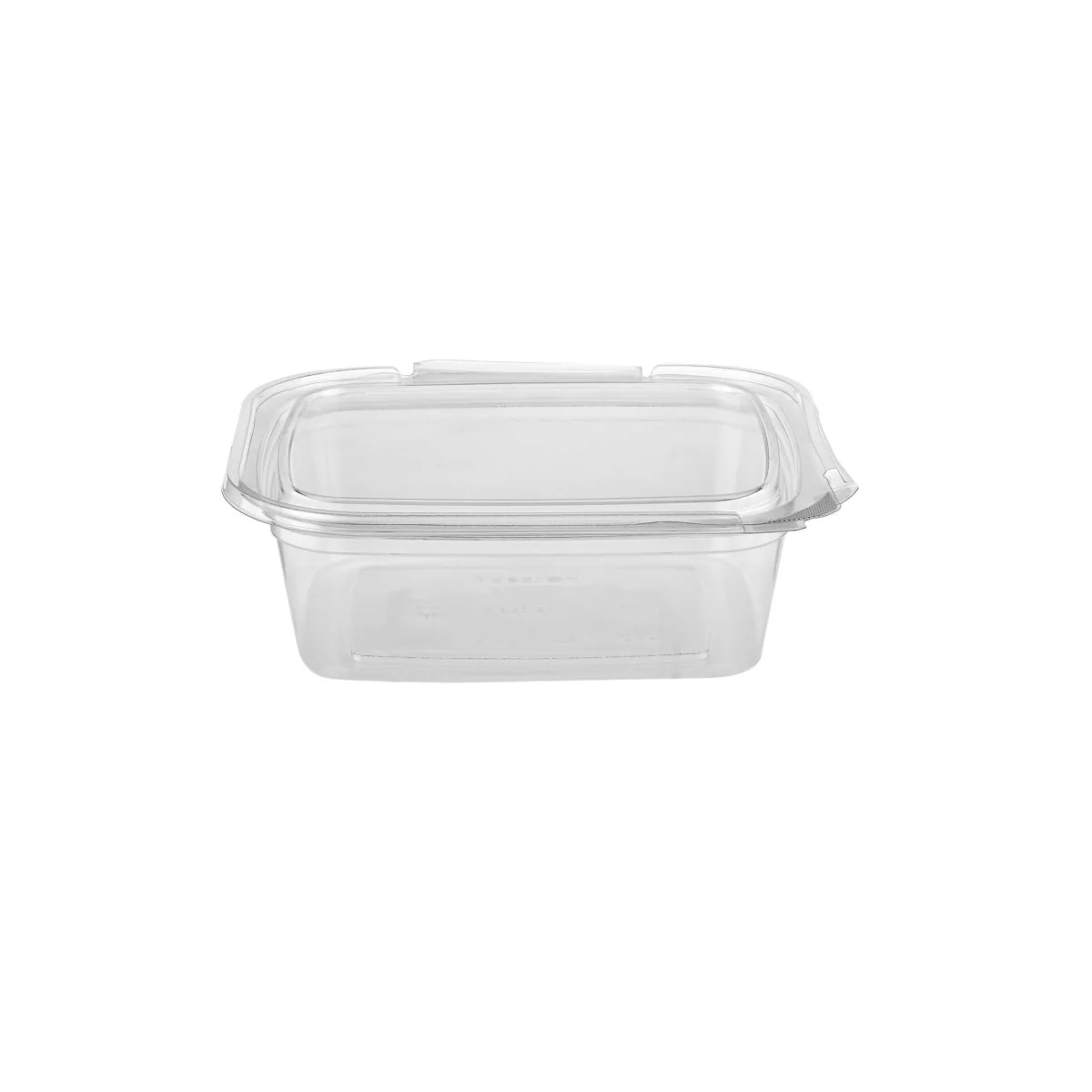 Hinged Square Deli Clear PET Container - Image 17