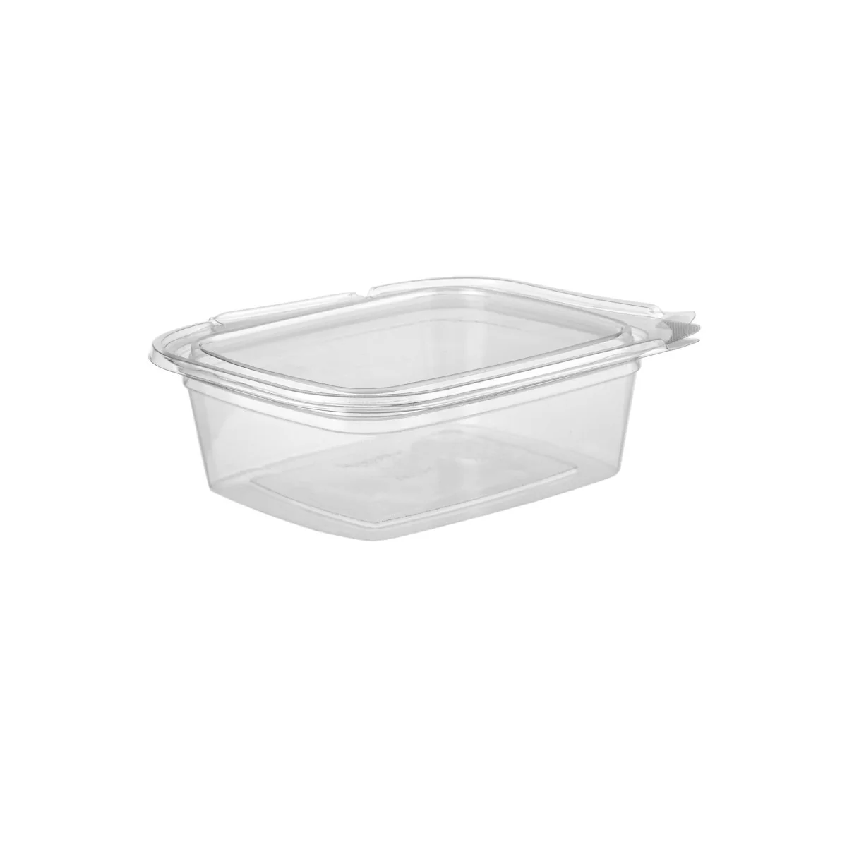 Hinged Square Deli Clear PET Container - Image 18