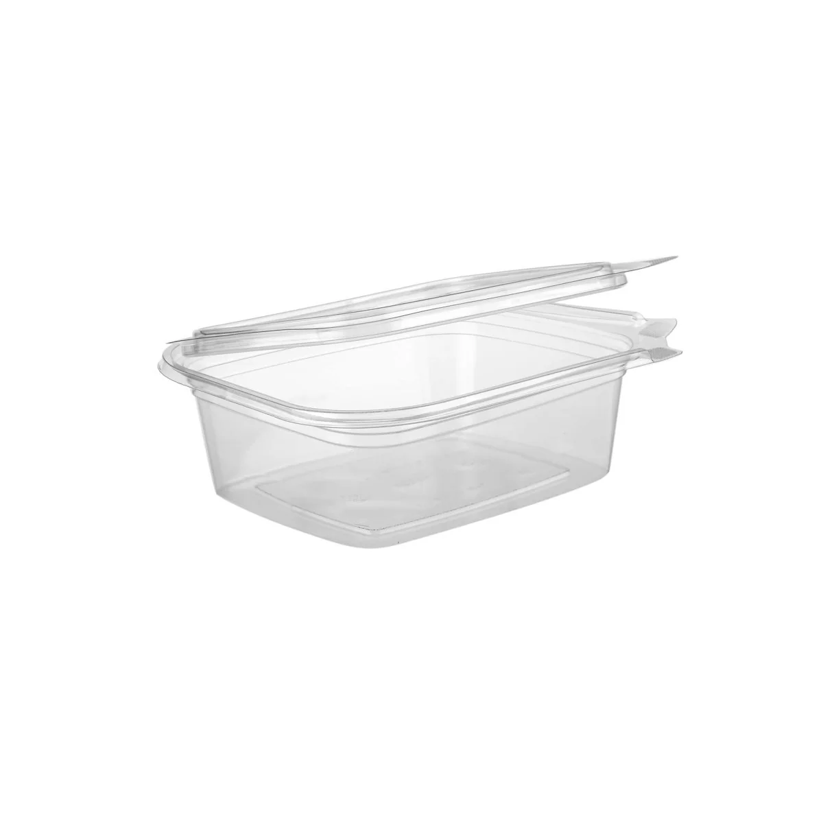 Hinged Square Deli Clear PET Container - Image 19