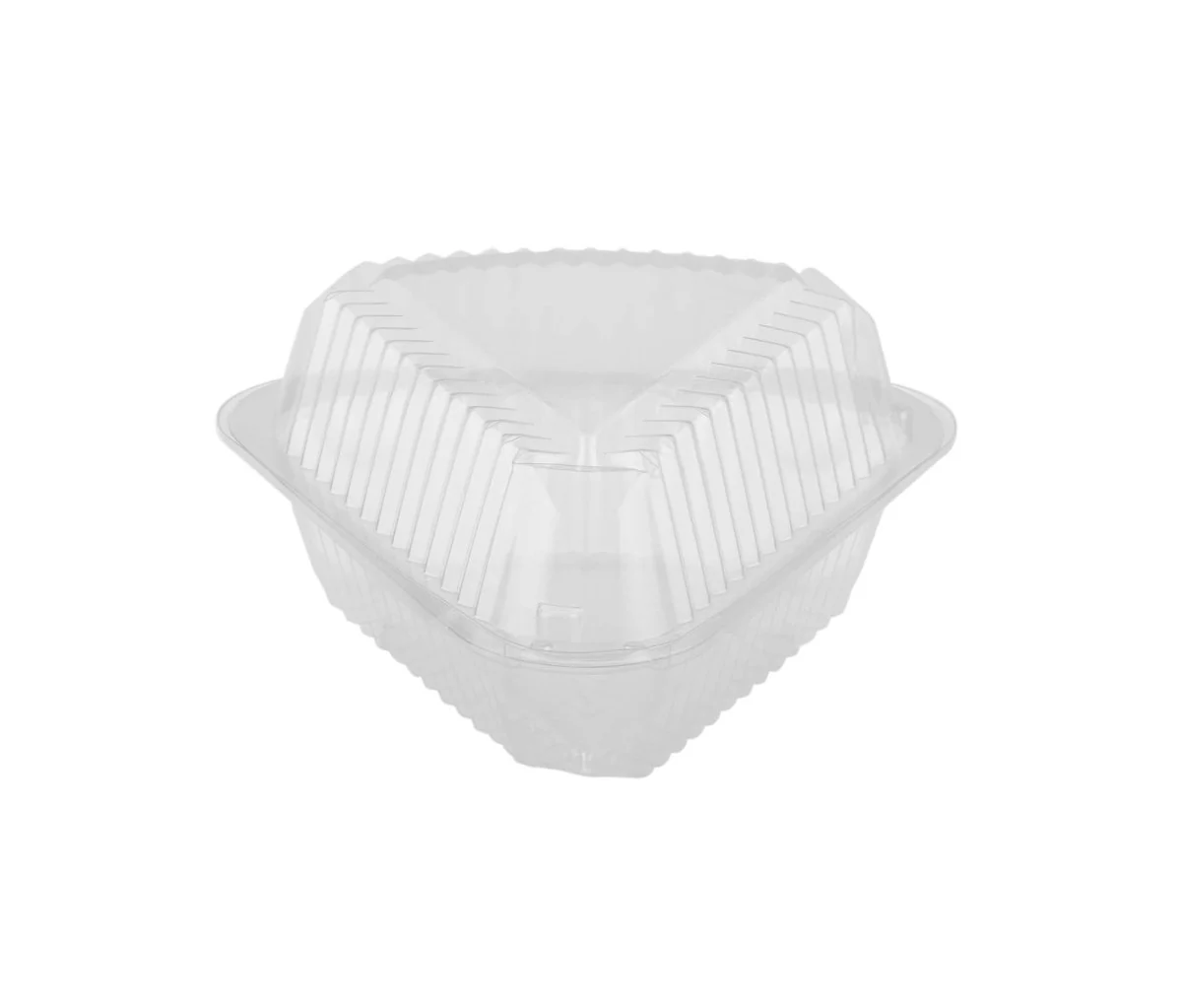 Hinged Triangle Clear Cake slice container