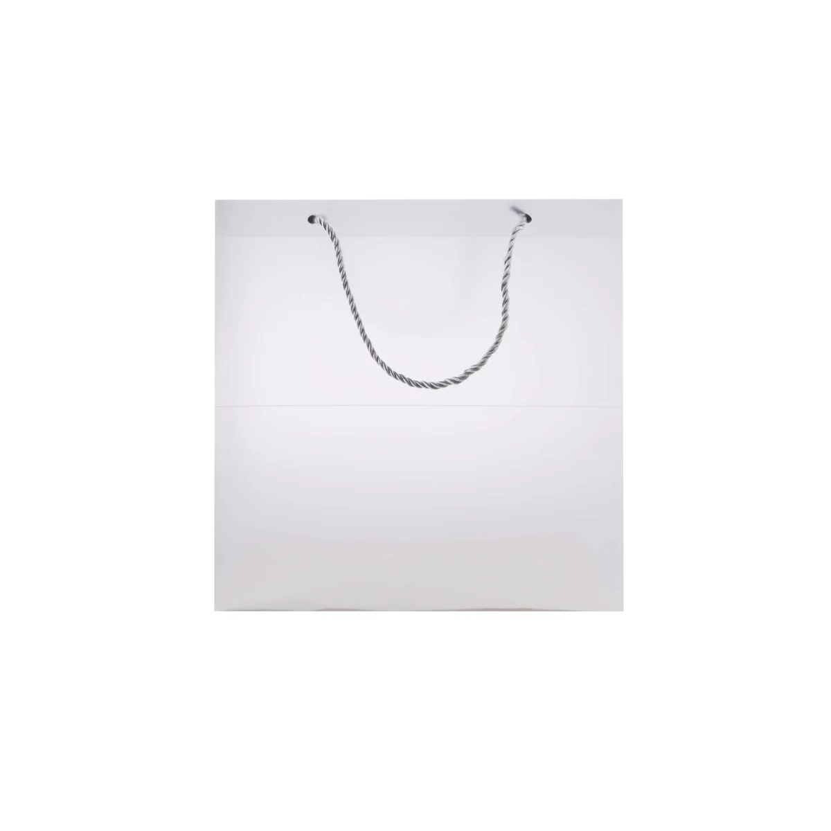 PP Clear Luxury Gift Bag