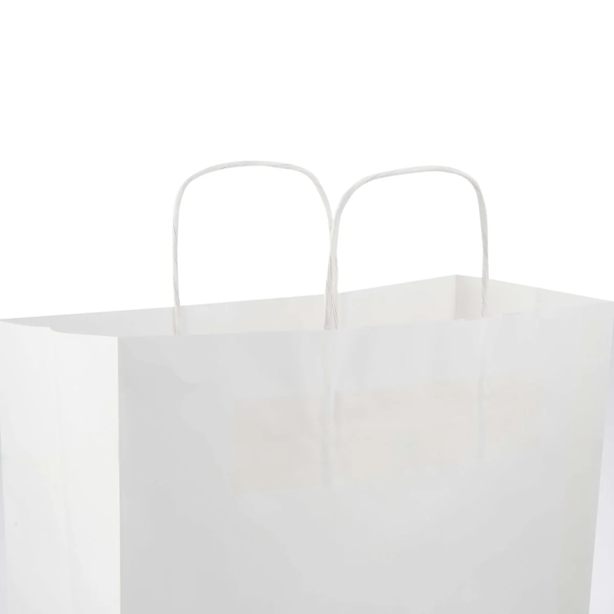 White Twisted Handle Paper Bag - Image 16