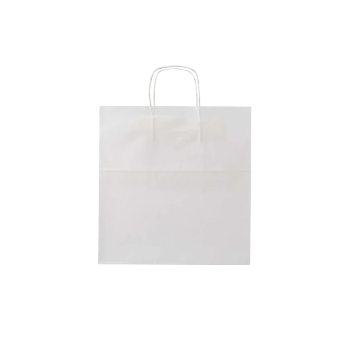White Twisted Handle Paper Bag - Image 17
