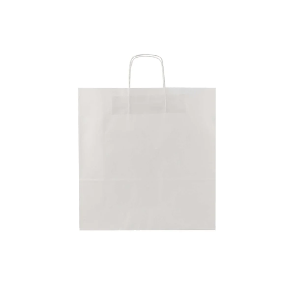 White Twisted Handle Paper Bag - Image 25