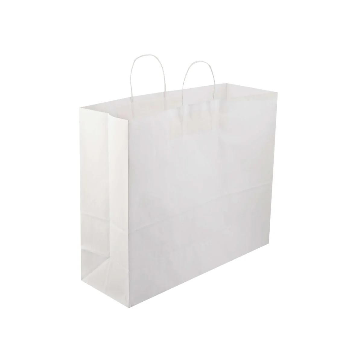 White Twisted Handle Paper Bag - Image 31